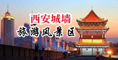 强奸乱伦一级毛片中国陕西-西安城墙旅游风景区